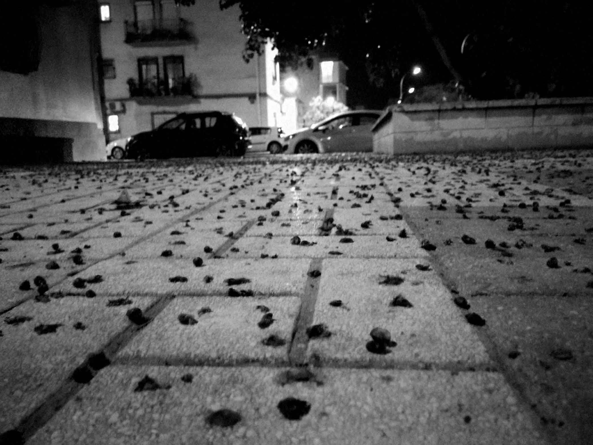 Cullera